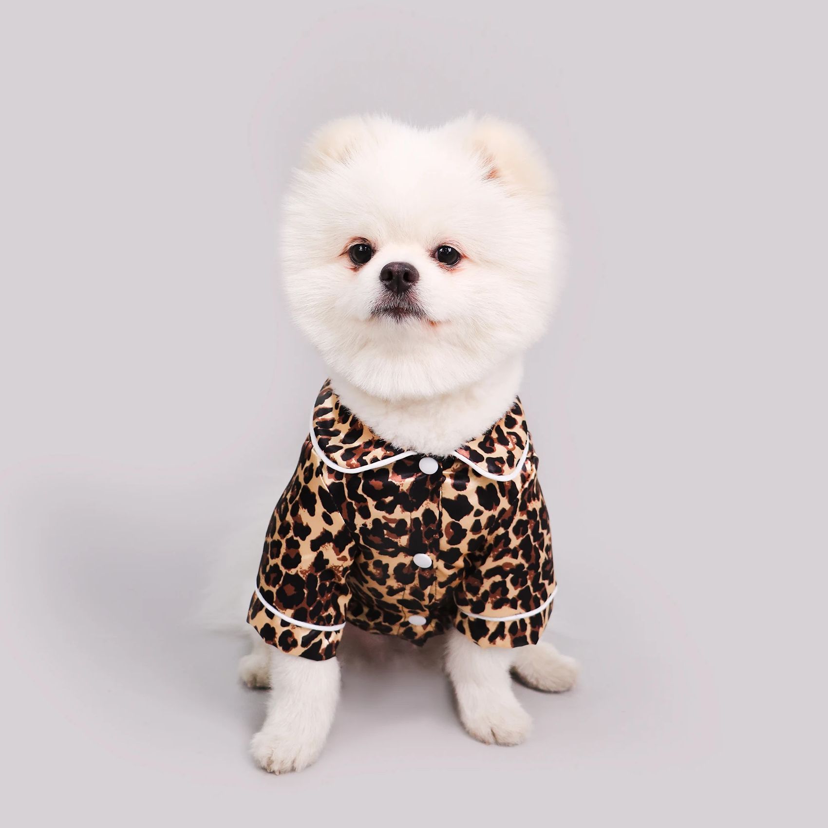 Summer Dog Clothing - Pet Dog T Shirt Clothes -