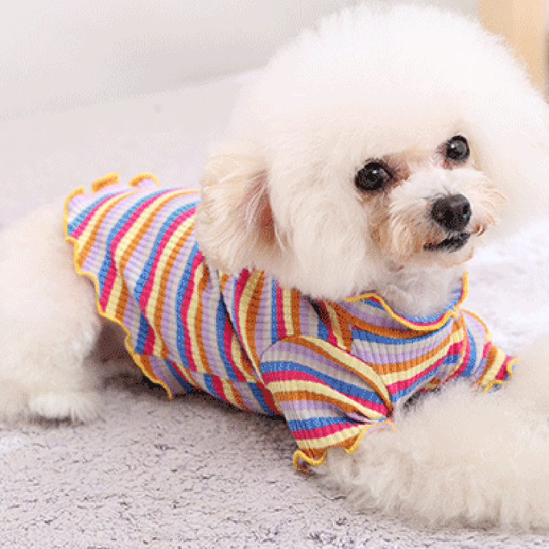 Pet Dog Clothes Puppy Vest T-s - đánh giá và giá Summer Dog Clothing