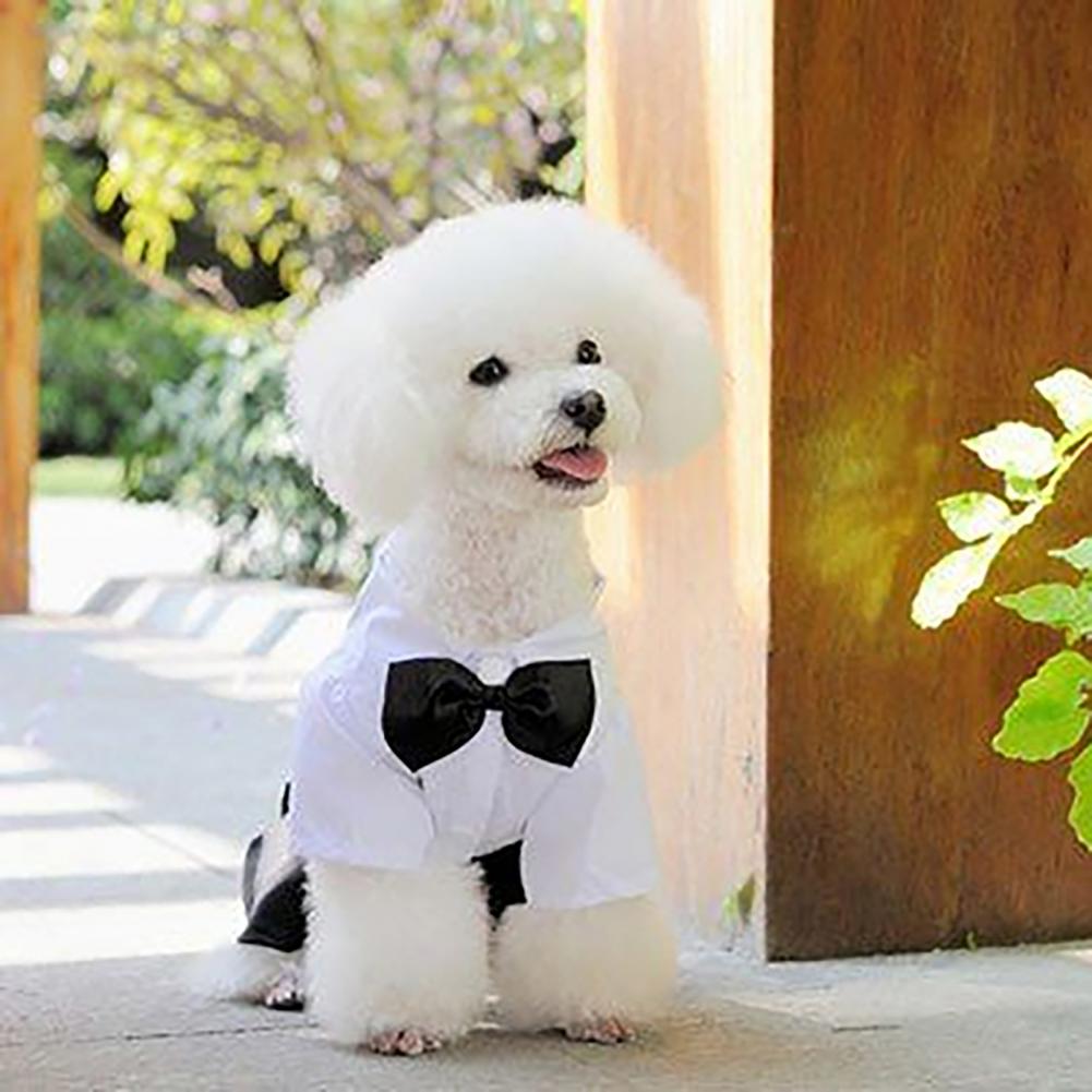 Dog Bow Tie Suit Tuxedo Costum - đánh giá và giá Summer Dog Clothing