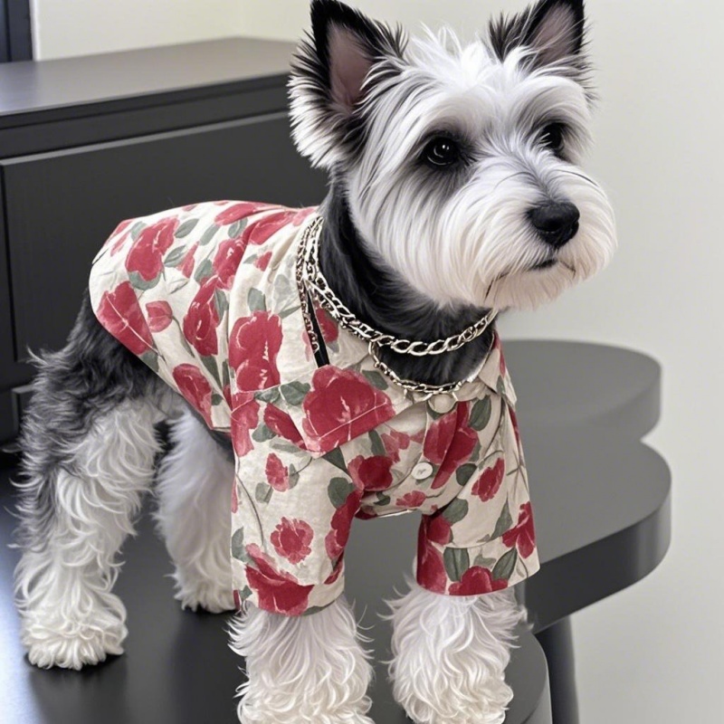 Summer Hawaiian Beach Style Do - đánh giá và giá Summer Dog Clothing
