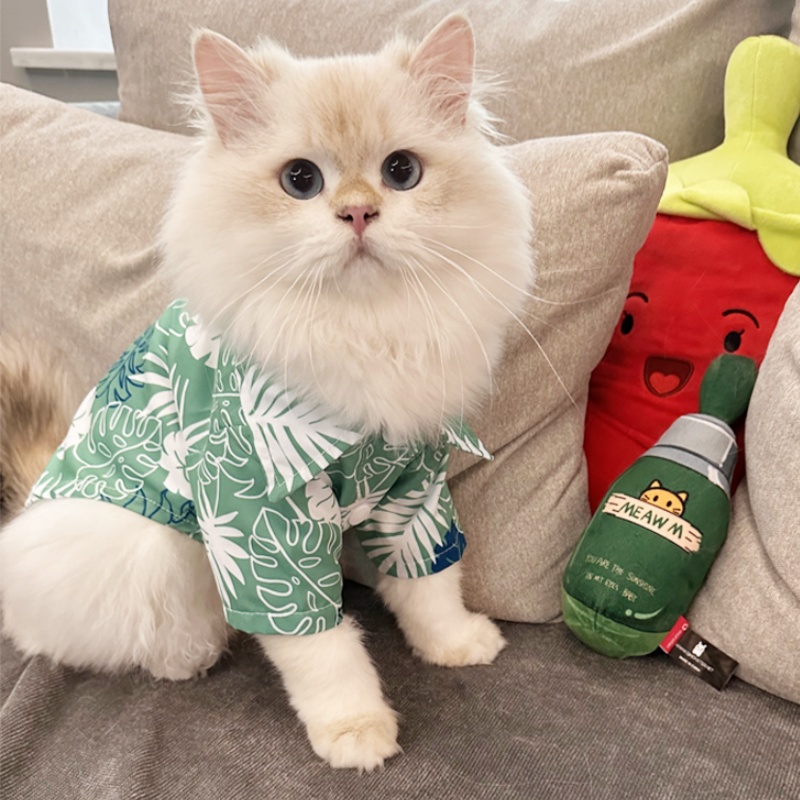 Summer Hawaiian Beach Style Do - đánh giá và giá Summer Dog Clothing